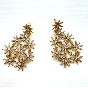 J. Crew Earrings